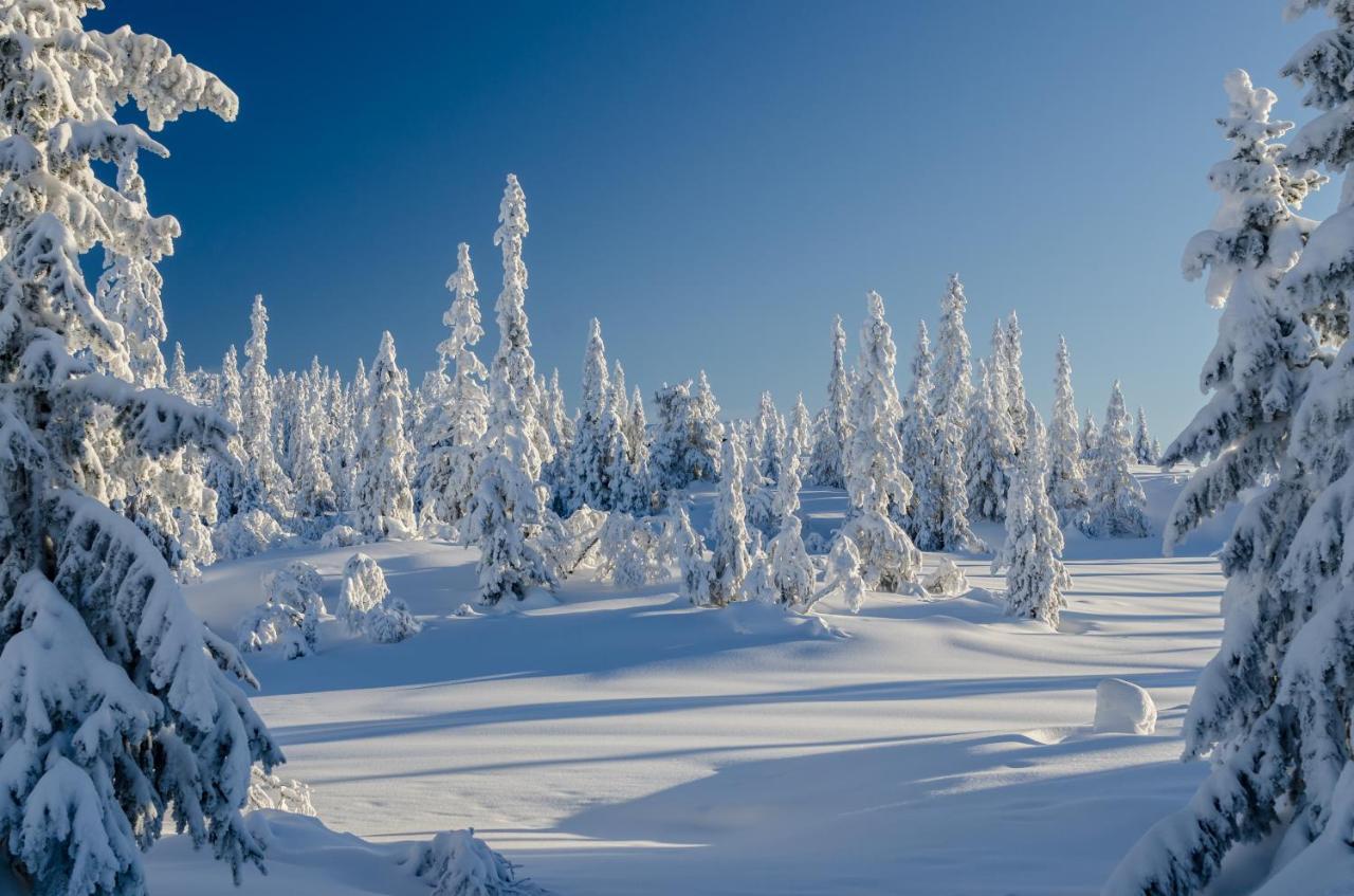 Blefjell Lodge Lampeland Eksteriør bilde