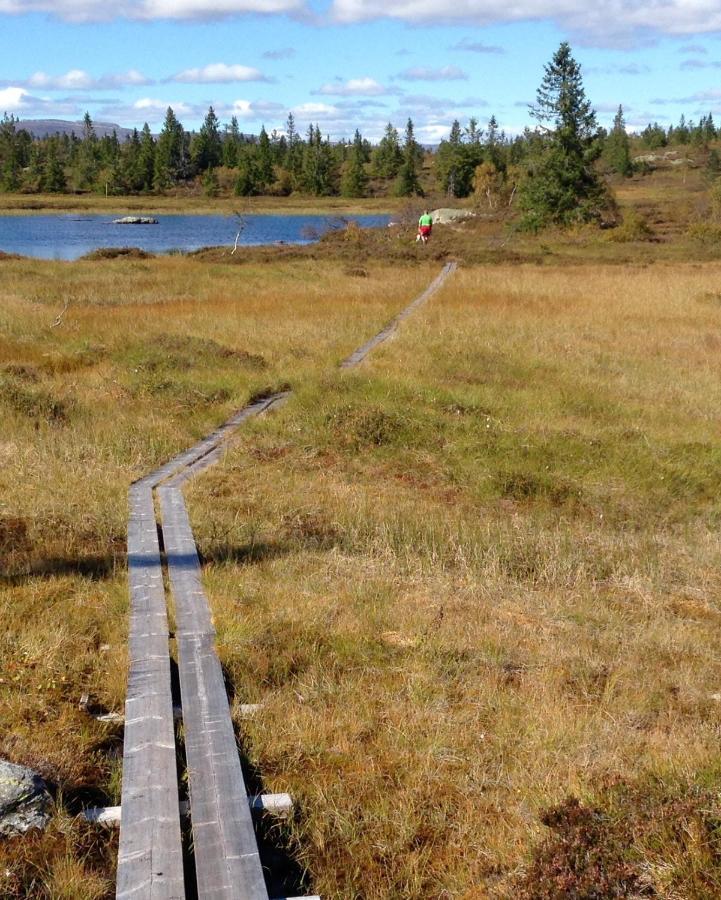 Blefjell Lodge Lampeland Eksteriør bilde