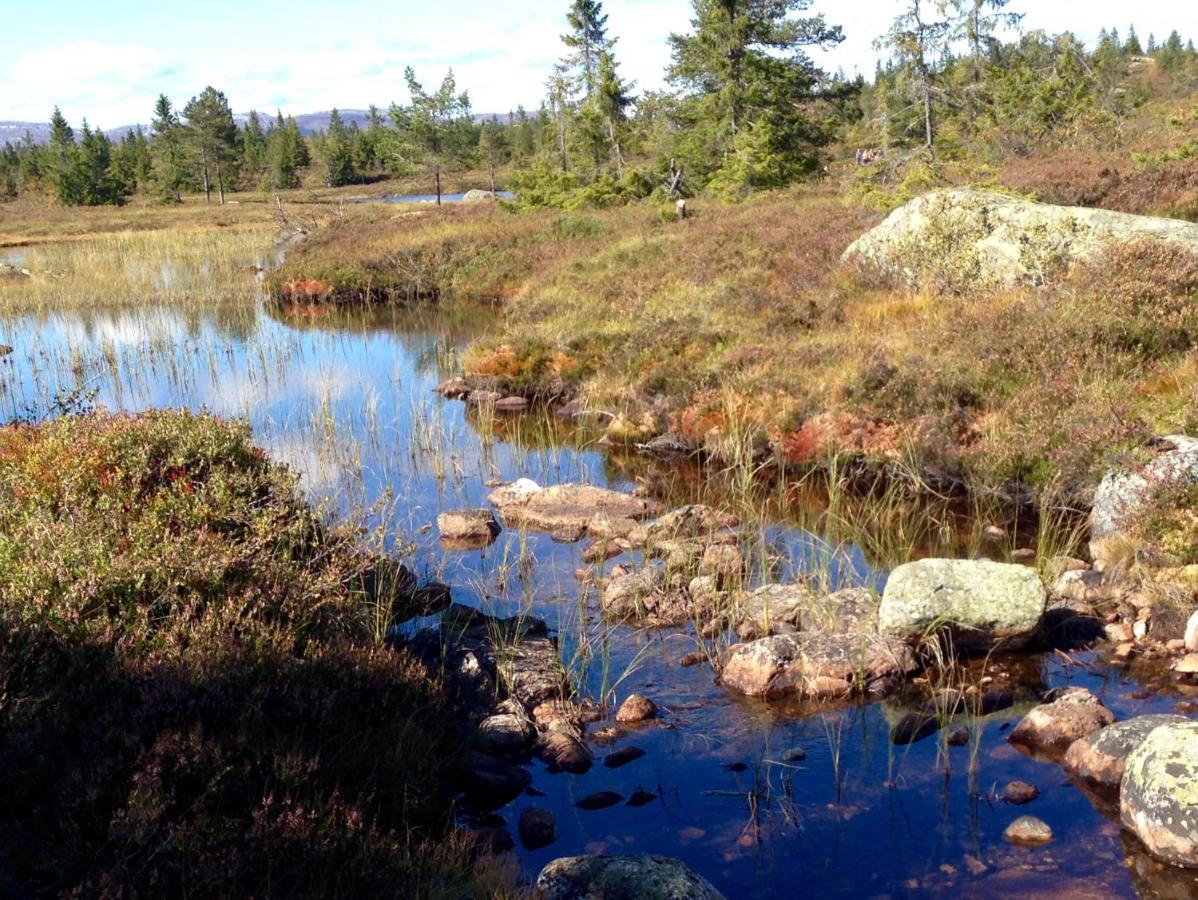 Blefjell Lodge Lampeland Eksteriør bilde