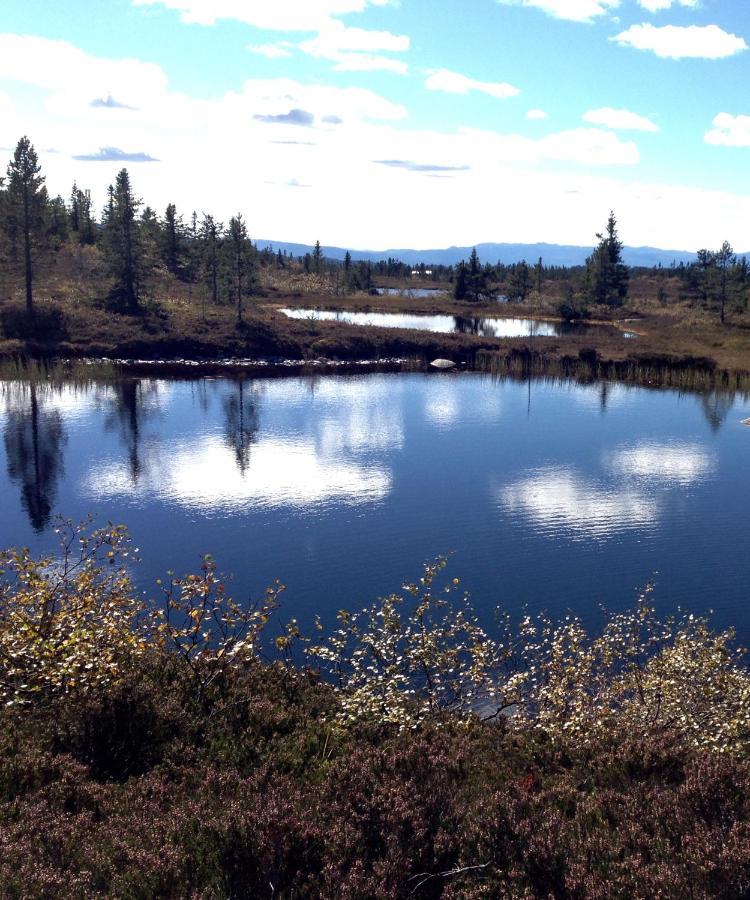 Blefjell Lodge Lampeland Eksteriør bilde
